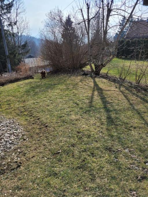 Appartement Le Flocon, Joli Petit Cocon 4 Pers En Rez De Jardin Draps Inclus Les Rousses Esterno foto