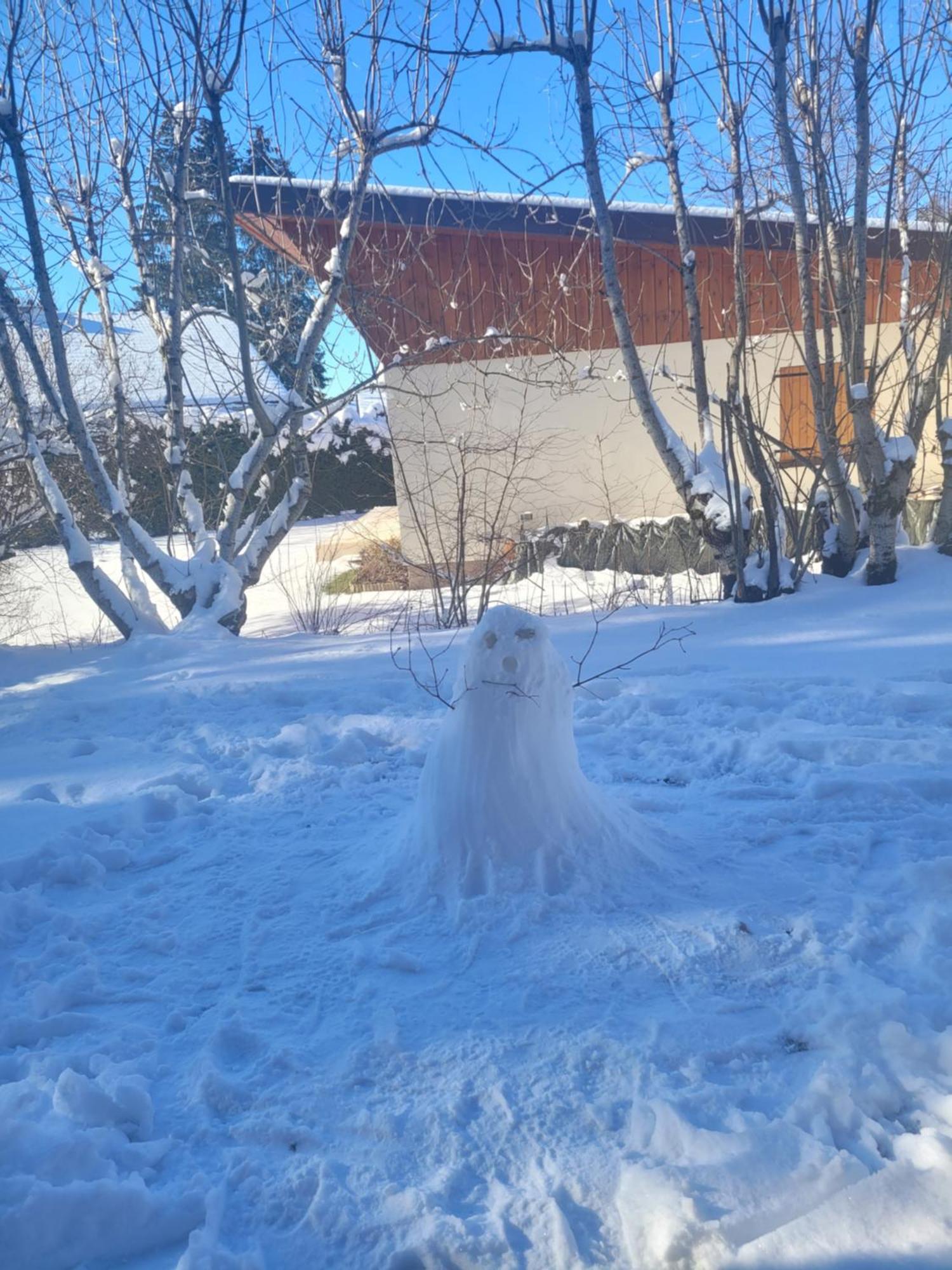 Appartement Le Flocon, Joli Petit Cocon 4 Pers En Rez De Jardin Draps Inclus Les Rousses Esterno foto